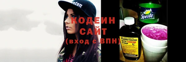 индика Белокуриха