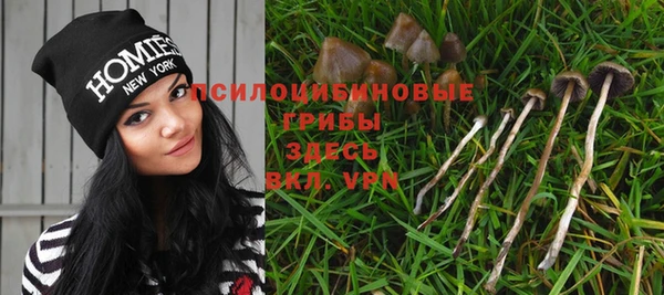 твердый Белоозёрский