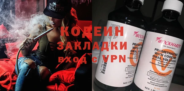 индика Белокуриха