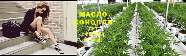 индика Белокуриха