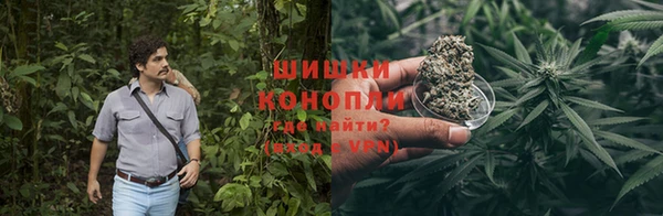 индика Белокуриха