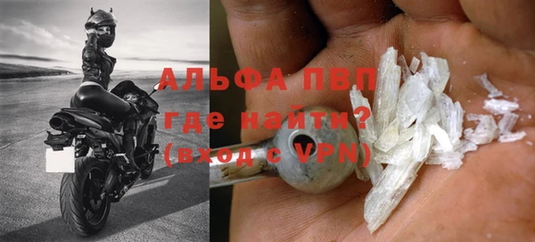 индика Белокуриха