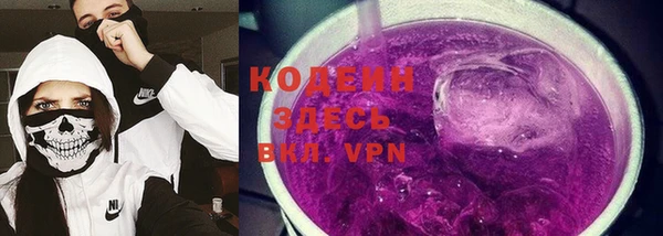 индика Белокуриха