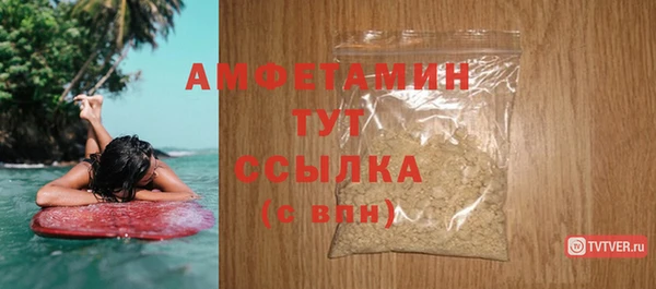 индика Белокуриха